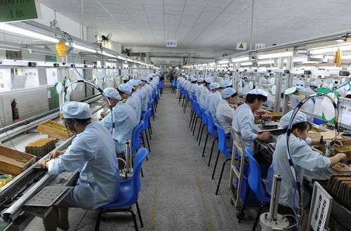 大學(xué)生癡迷哲學(xué)退學(xué)當(dāng)民工,邊打工邊搞翻譯,遭周圍人嫌棄白眼