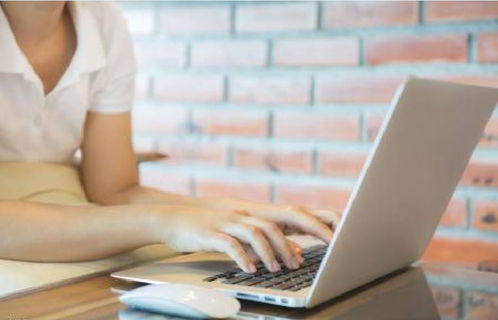 北京專(zhuān)業(yè)翻譯公司提供的翻譯服務(wù)概述